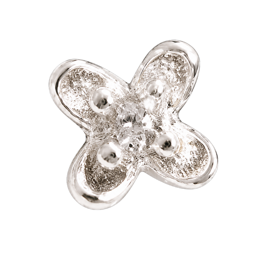 Silver Clover